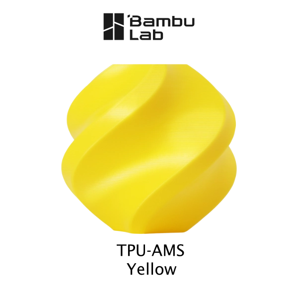 TPU for AMS